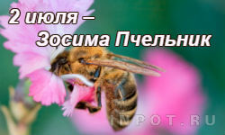 2 июля – Зосима Пчельник